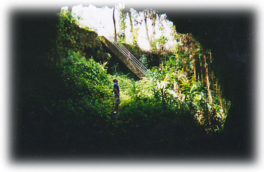 overlooking lava tube at Kaumana caves in Hilo, Hawai'i.